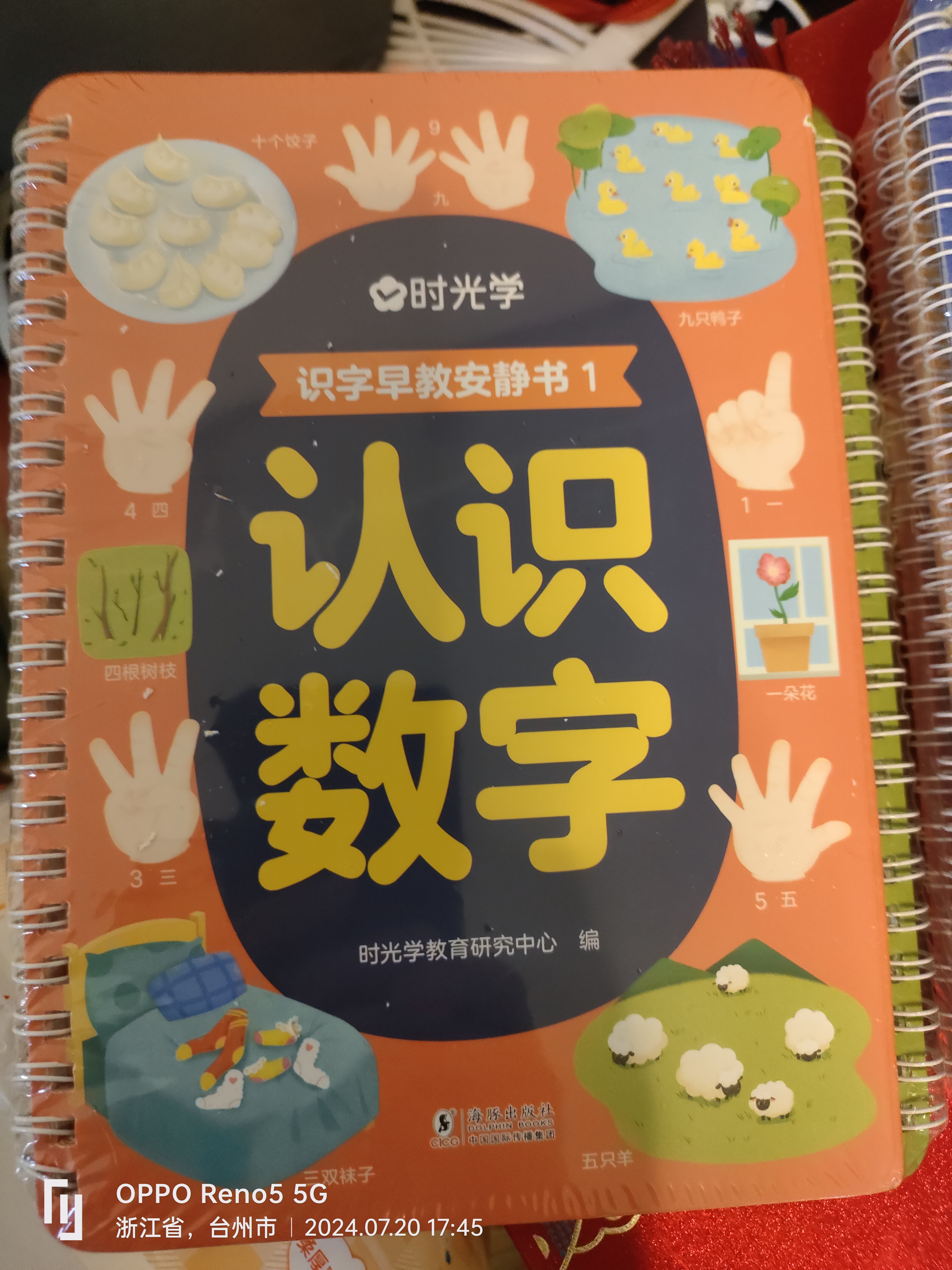 时光学识字早教安静书全套10本幼儿早教益智学前识字启蒙宝宝安静书魔术贴卡片手撕拉书开学礼物 实拍图