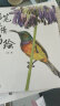 色铅笔浓情花鸟绘（亚洲篇） 实拍图