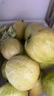 京源采红心软芭乐新鲜水果番石榴应季低糖孕妇生鲜礼品单果130g源头直发 白芭乐软糯净重3斤装 实拍图