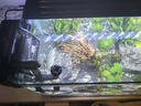 西游水族鱼缸水族箱客厅小型迷你桌面免换水生态造景小金鱼缸热弯超白玻璃 长40*宽22*高25-水秀青山款造景全套 实拍图