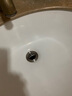 家韵（jiayun） 洗手盆下水管不锈钢 台盆面盆排水管洗脸盆下水器防臭弹跳 6066短翻板-有孔下水器 实拍图