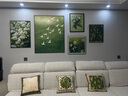 同城师傅挂画安装 挂画挂钟婚纱照油画摆件置物板洞洞板固定上墙 实拍图