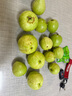 思卓（SIZHUO）红心软芭乐 广东番石榴新鲜水果健康轻食土巴乐软糯甜心单果130g+ 红白芭乐双拼4.5-5斤装 实拍图