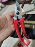 爱丽斯ars130DX日本进口修枝剪刀树剪果树剪花艺剪园艺剪刀修剪树枝剪刀 130DX-R【英文包装红色】 实拍图
