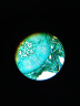 宝视德 bresser 显微镜儿童生物实验体视光学套装 2000倍高清放大 实拍图
