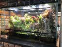博特博特过滤棉鱼缸生化毯水族箱干湿分离魔术袋加厚羊绒棉高密度 【新款】丝绒棉 实拍图