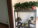 埃尔岚欧式绿植架花架子铁艺简易花架放花的架子环保花架铁艺家用多层室内阳台客厅隔断悬挂式花盆架 黑色+碳化木100长30宽135高 实拍图