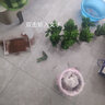 福尚来绿萝盆栽花卉植物室内吸除甲醛净化空气长藤垂吊兰大绿箩水培绿植 120#白色吸水10盆装+6肥 实拍图