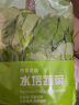 京觅优选 色拉5号生菜 沙拉 孕产  火锅食材  200g 京东植物工厂 日本技术 水培蔬菜 实拍图