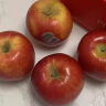 鲜七星新西兰进口苹果红玫瑰12颗高级当甜新鲜当季水果节日礼盒装鲜果 5A商超大果（单果130-160g） 12颗礼盒装 晒单实拍图