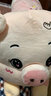 艾筱扬【当次日达】小猪猪抱枕公仔娃娃毛绒玩具睡觉抱七夕情人节礼物女 粉色圆眼（余生都是你） 1.2米 实拍图