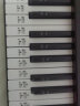 特伦斯（Terence）便携式88键智能电子琴成人儿童幼师电钢电子编曲键盘 61键折叠琴+琴包 晒单实拍图