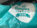 帮宝适（Pampers）绿帮纸尿裤 尿不湿超薄干爽 中号M96片 通用 实拍图