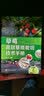 草莓高效基质栽培技术手册（现代化无土高效益栽培草莓）果农必备无土栽培农业技术草莓种植技术 实拍图