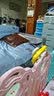 贝肽斯训练裤婴儿尿布裤纯棉可水洗男女宝宝锻炼如厕新生儿内裤尿不湿 浅粉+浅紫 2条装 10A抗菌 网眼透气 [适合15个月以上] 24-36斤 实拍图