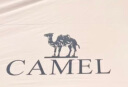骆驼（CAMEL）【虹】户外精致露营六角蝶形黑胶天幕便携式野餐防晒遮阳凉棚 173BA6B064B,流沙金 9㎡蝶形 黑胶 实拍图