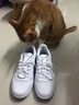 阿迪达斯（adidas）男鞋女鞋 NEO HOOPS 2.0 轻便舒适运动休闲板鞋 白色B42096 轻微瑕疵 36.5 实拍图