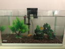 森森（SUNSUN） 鱼缸过滤器壁挂式外置过滤泵水族箱过滤器 HBL-402 2W【带除油膜】适合20-50鱼缸 实拍图
