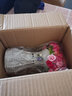 绿秀仿真花盆栽假花摆件小盆景菊花室内客厅摆桌塑料花绢花束欧式装饰 球牡组合粉2s+瓶 含花瓶 实拍图