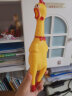 尖叫鸡小公鸡惨叫鸡发声怪叫鸡绝望会叫的战斗鸡萌萌鸡减压 31cm惨叫鸡（一般大） 实拍图