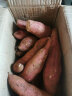 福建农特产 六鳌红薯  地瓜  净重1.5kg 单果重量50g-150g  新鲜蔬菜健康轻食 实拍图
