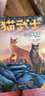猫武士 二部曲新译本全套6册 奇幻儿童文学励志小说 实拍图
