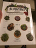 多肉植物图鉴 实拍图