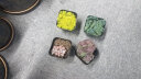 墨一教师节多肉植物带盆栽好组合套装办公室桌面摆件绿植花卉盆栽好养 姬星美人【塑料盆栽好】 实拍图