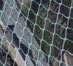 瑾禾家禽养殖网养鸡网尼龙网拦鸡围网菜园围栏菜地网塑料网 12股3厘米1.5高米*10米长 晒单实拍图