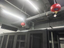 浙安（zhean）七氟丙烷灭火器温控手提式柜式悬挂洁净气体机房自动灭火消防器材 6KG悬挂式七氟丙烷 晒单实拍图