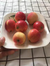 辛鲜美东北沙果海棠果 新鲜孕妇水果小苹果糖心大沙果特产水果 5斤装 实拍图