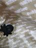 Native赠品洞洞鞋内扣0.8cm随机童鞋鞋花单拍不发 随机鞋花 10.5 内扣0.8 实拍图