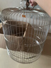 威毕不锈钢鹦鹉鸟笼大号虎皮玄凤牡丹八哥鹩哥画眉笼子圆形金属笼子 34cm7件套不锈钢鸟笼 实拍图