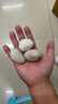 大匠神彩鱼缸底砂鱼缸造景雨花石沙石头装饰铺底石鹅卵石溪流石雨林沙底沙 高抛白色2-4cm 实拍图