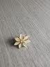 杜缇胸针防走光卡扣神器V领领口固定纽扣小巧精致气质防走光扣小 【两个装】104+102 实拍图
