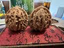 山中玉文玩核桃狮子头闷尖手把件古玩麻核桃秋子核头爸妈新年送礼物原色 【精配】毕业级44-45mm虎头1对 实拍图
