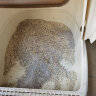 洁客(Drymax)京东专享款低尘膨润土结团猫砂 10L 晒单实拍图