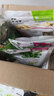 jolly pet products兔子水果干蔬菜干零食龙猫仓鼠荷兰猪零食小宠小食小吃 Jolly苹果干 25克脆干 JP20 实拍图