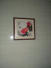 紫腾随轩新中式牡丹花开富贵装饰画客厅餐厅背景墙画卧室床头挂画壁画 图21 50*50cm红木色实木框 实拍图