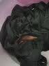 花花公子（PLAYBOY）休闲裤男商务秋冬季裤子男士直筒裤修身男裤 黑色加绒 31 实拍图