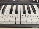 兰可（Lankro）智能电子琴61键初学者成人儿童便携家用专业电子键盘乐器 【标配款-黑色】智能亮灯跟弹+大礼包 晒单实拍图