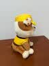汪汪队立大功（PAW PATROL）汪汪队玩具毛绒全套狗狗玩偶公仔男女孩玩具旺旺队儿童生日礼物 经典款-小砾公仔【需选尺寸】 中号-坐或站高约17~22.9CM 实拍图