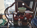 容山堂 颐阁实木茶杯架子茶具收纳架茶具架茶壶架茶宠小博古架鸡翅木 鸡翅木博古架-湛蓝 实拍图