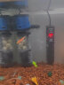 森森（SUNSUN） 鱼缸内置过滤器增氧泵三合一水泵乌龟缸水族箱过滤设备 5W四合一内置过滤器+500g中空石英球+替换棉 实拍图