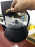 唐丰铁壶套装铸铁茶壶煮茶茶具烧水壶滤网家用铁壶烧水壶 小丁铁壶 实拍图