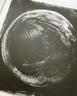 异形契约 大卫手稿 英文原版 Alien Covenant Davids Drawings 戴恩哈利 马特哈顿 超清晰手稿大图 生化人 艺术设定集 精装  异形契约：大卫手稿 实拍图
