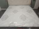 双虎 现代简约青少年床架奶油风1.2米1.5米小户型卧室家具13M5 床+床垫 1500mm*2000mm 实拍图