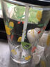 乐唯诗（NERVISHI） 玻璃杯吸管杯可爱少女网红奶茶杯女杯子带盖早餐杯牛奶杯咖啡杯 乐美吸管杯【琥珀】带把 530ml 1只 实拍图