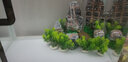 森森（SUNSUN）鱼缸热弯超白玻璃生态办公桌水草缸 长38cm热弯超白缸+灯+过滤器+水溶/溪流石景 实拍图
