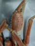 冷冻新鲜雪蟹脚4L大号雪蟹腿红蟹脚火锅材料冰镇新鲜满肉螃蟹脚 雪蟹腿（毛重10斤） 晒单实拍图